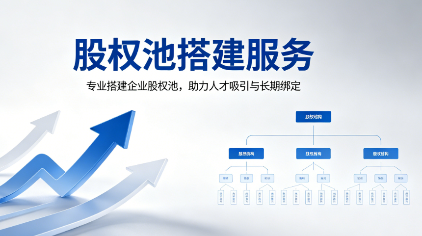 股权池搭建服务