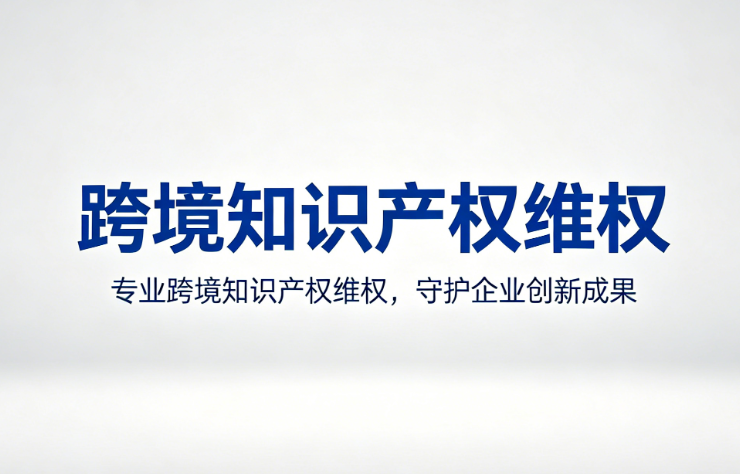 跨境知识产权维权