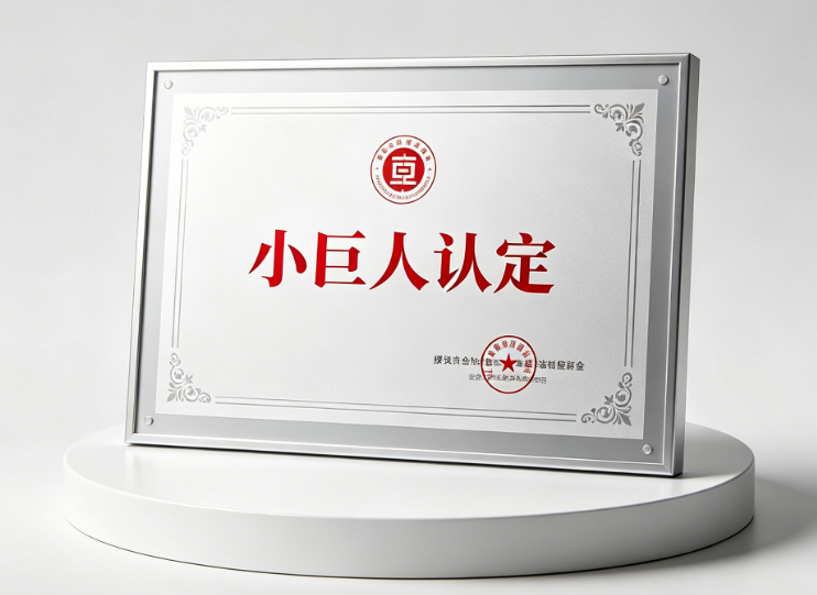 "小巨人"认定(图1) "小巨人"认定(图1)